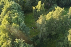 DJI_0221