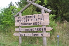 Foto: Thorup Hede
